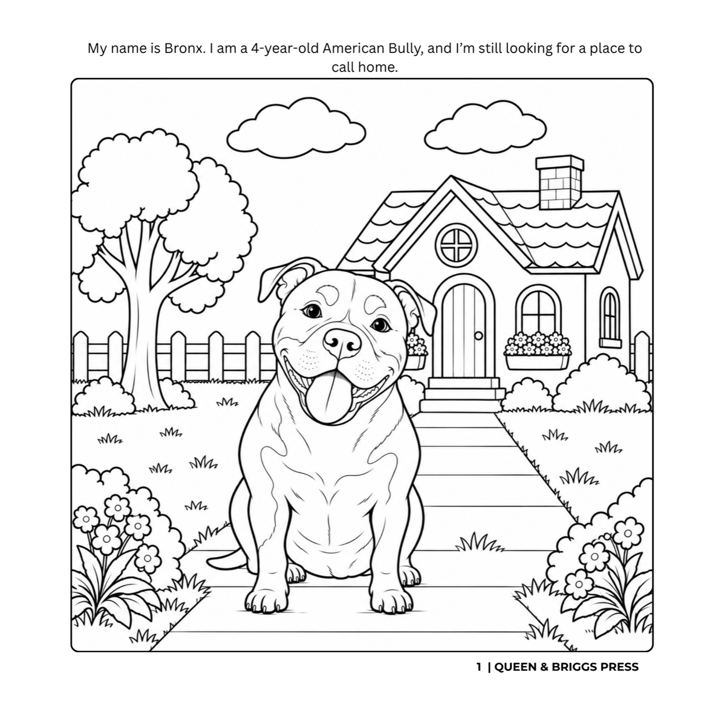A Home for Bronx 2nd Edition preview page 12