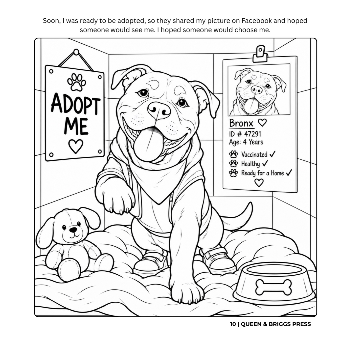 A Home for Bronx 2nd Edition preview page 30