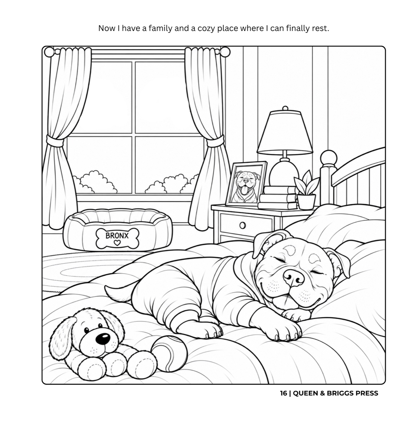 A Home for Bronx 2nd Edition preview page 42
